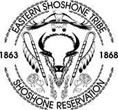 Eastern Shoshone Tribal Health - Regional VI