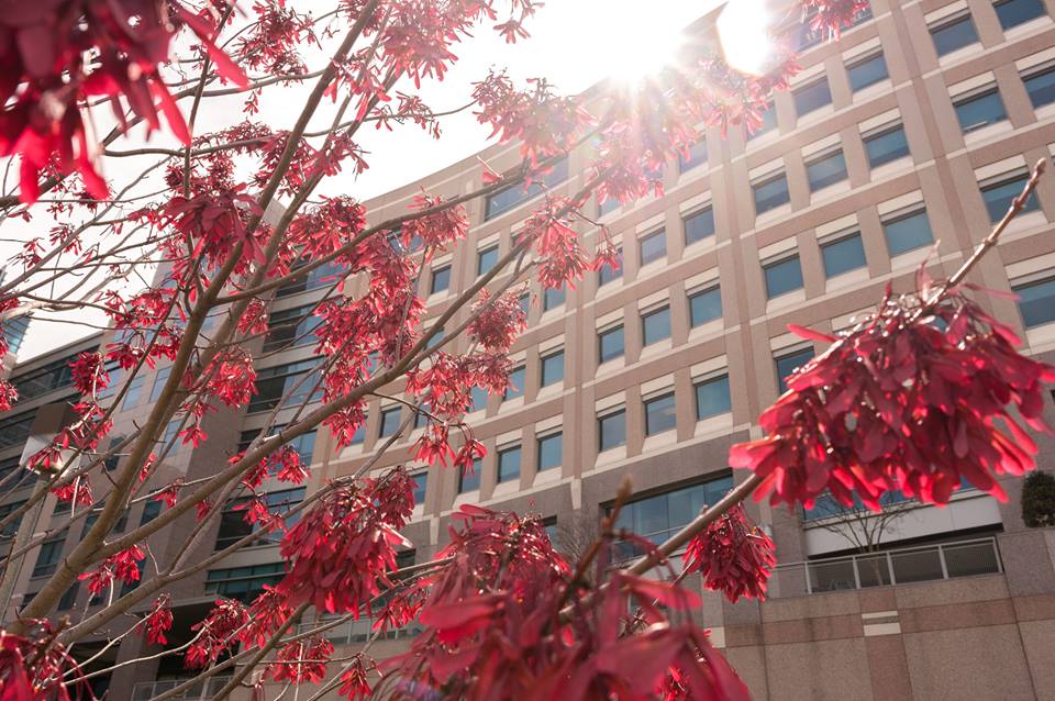 The University of Texas - M.D.Anderson Cancer Center Mobile Unit 